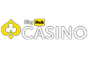 playhub casino 1
